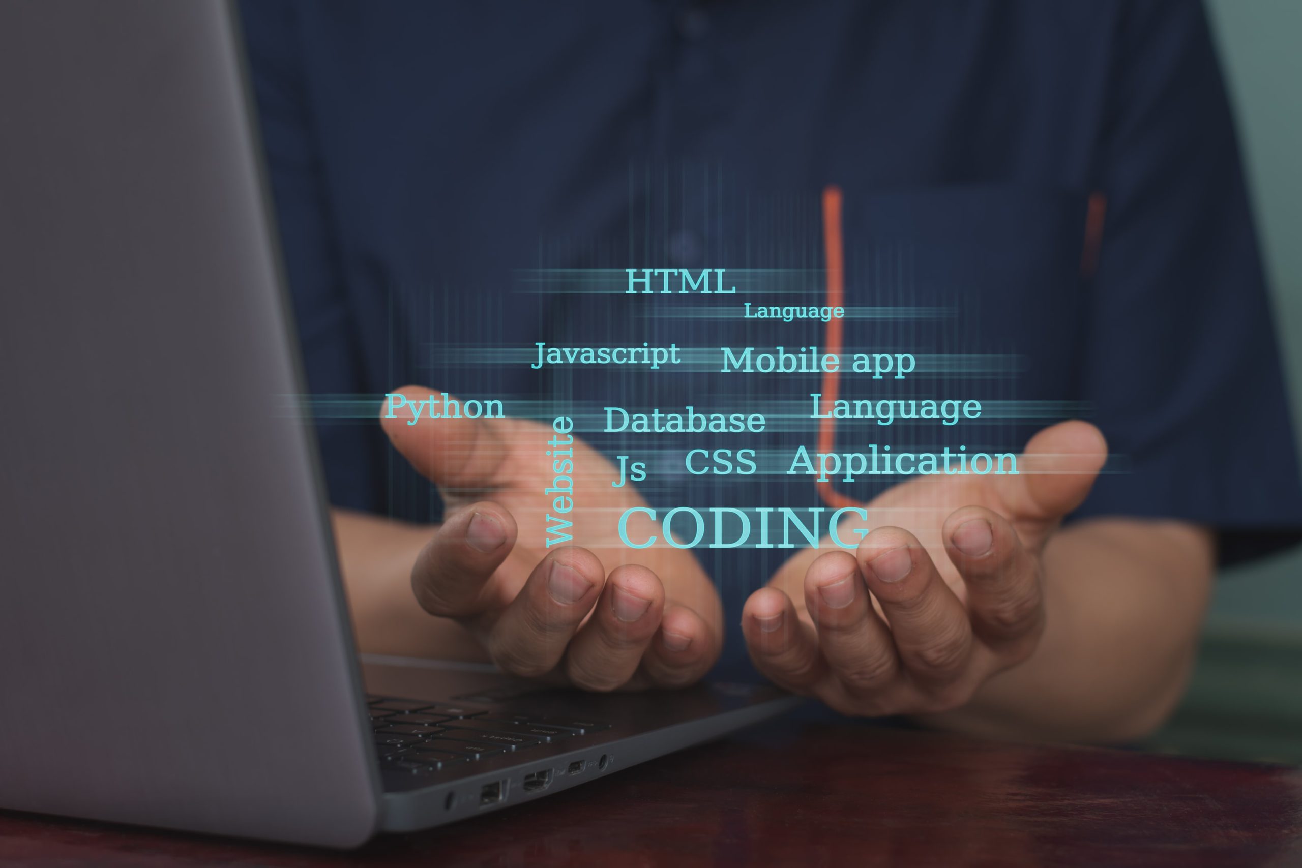 World Wide Web: The Evolution